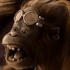 Benutzeravatar
